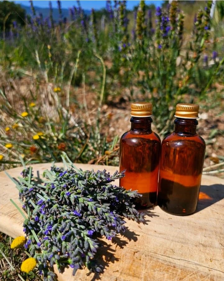 Melez Lavanta Yağı