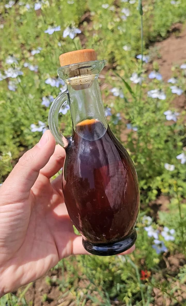 Saf Çörek Otu Yağı