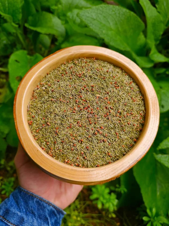 Funda Yaprağı (Yayla El Hasadı)