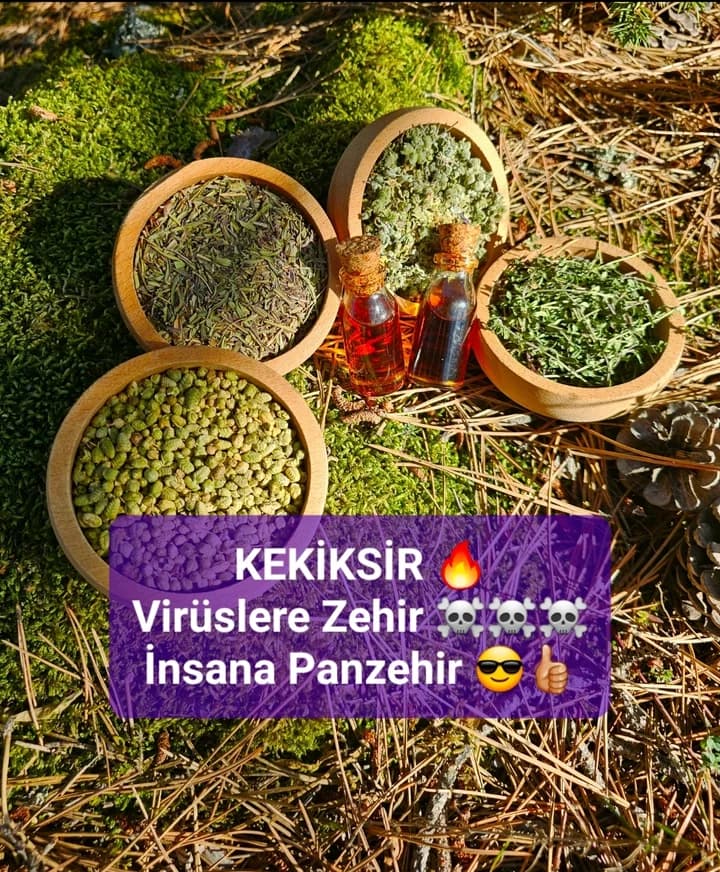 KEKİKSİR - Saf Kekik Yağı