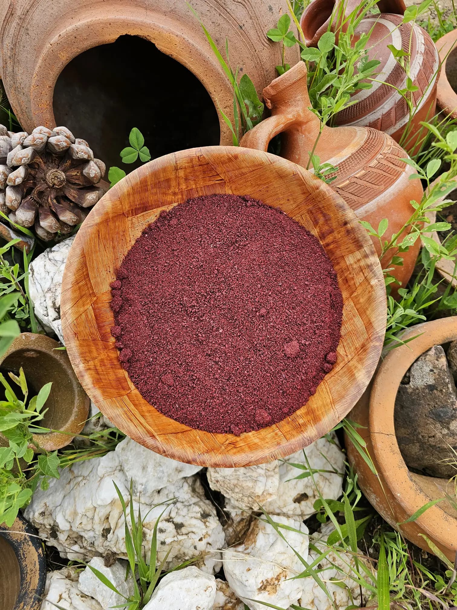 Yağ Yakımı–Lipödem & Dolaşım Destek Protokolü (Alternatif-2)