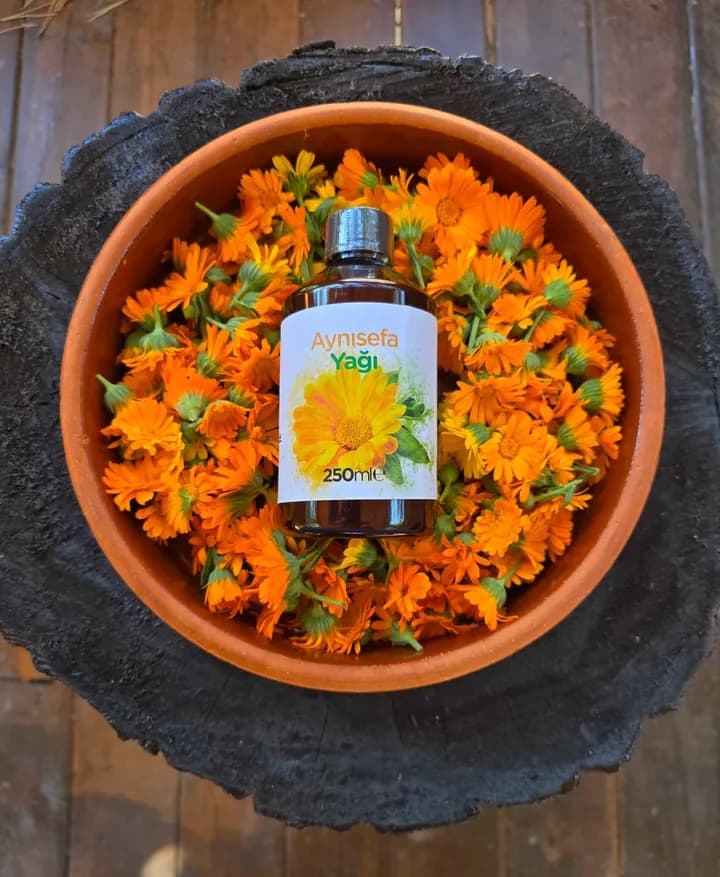 Atalık Tohum Aynısefa Yağı
