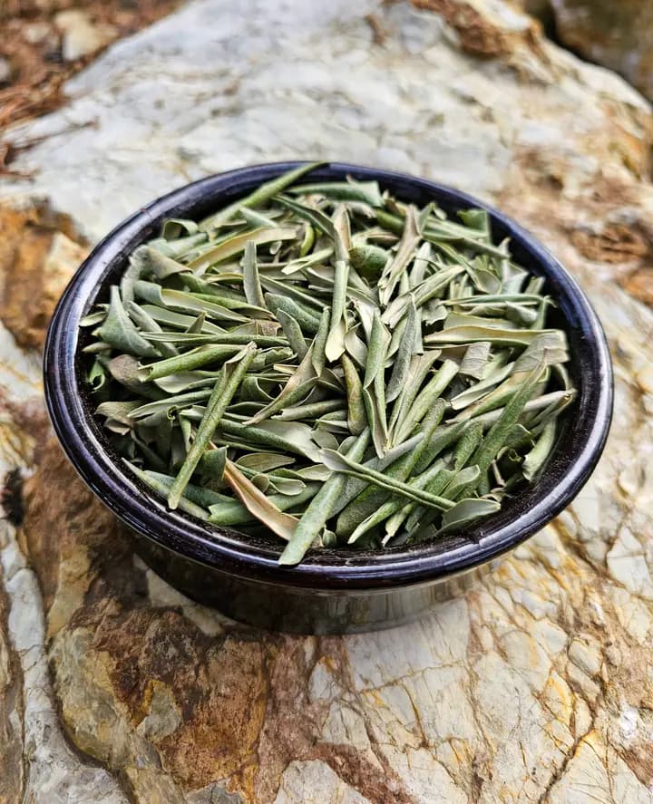 Boz Zeytin Yaprağı