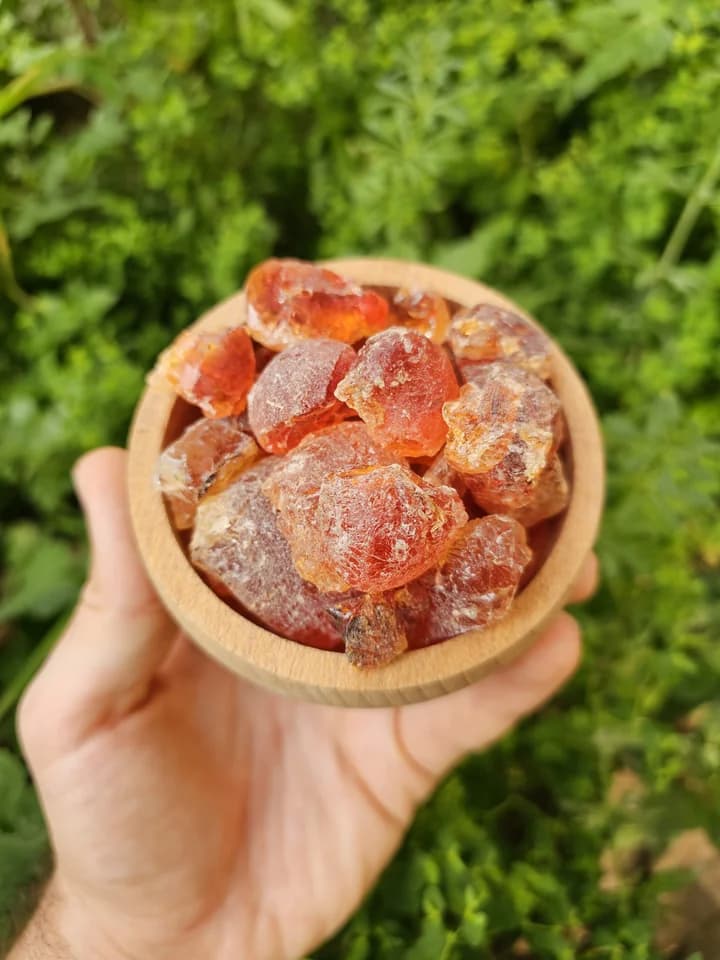 Akasya Zamkı "Mutsuz bağırsaklar mı dedi biri..?"